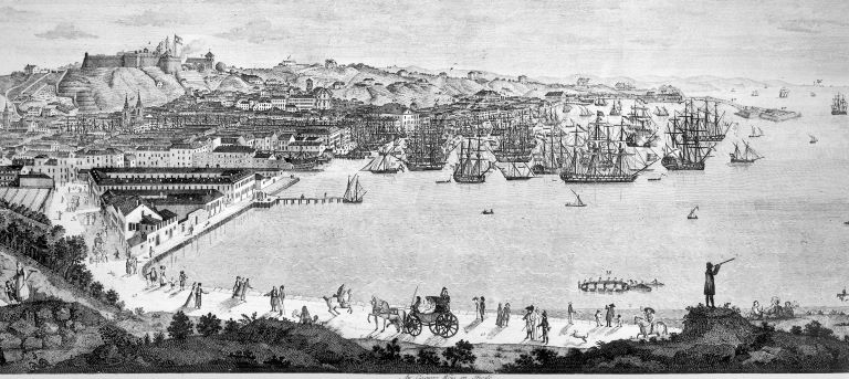 Panorama of Trieste XIX century